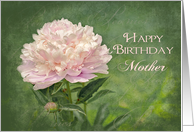 Birthday, Mother, Delicate Pink Peony Flower on Green card