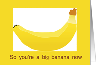The Big Banana card