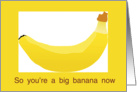 The Big Banana card