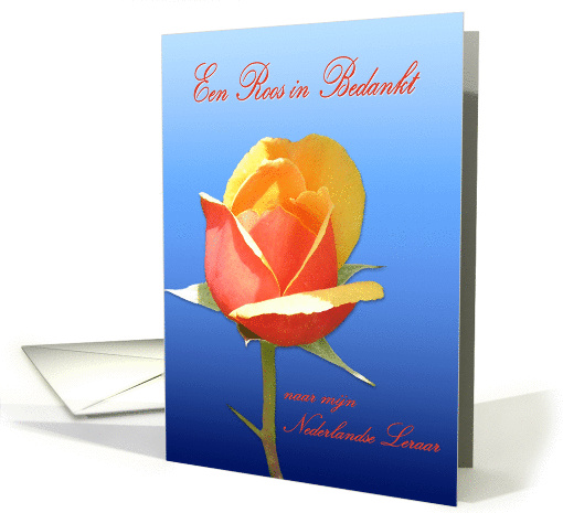 Dutch Teacher Rose in Thanks card (386387)