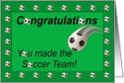 Soccer Team Congratulations Soccer Ball card