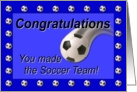 Soccer Team Congratulations Blue card