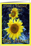 Happy Birthday Big Sister card