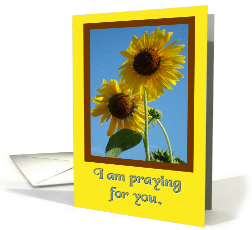 I am Praying For You card (342015)