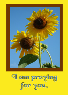 I am Praying For You