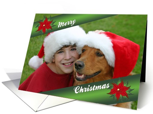 Merry Christmas Photo Card, Poinsettias on Ribbon card (852491)
