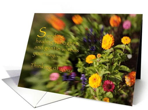 Healing Thoughts & Gentle Wishes card (330229)