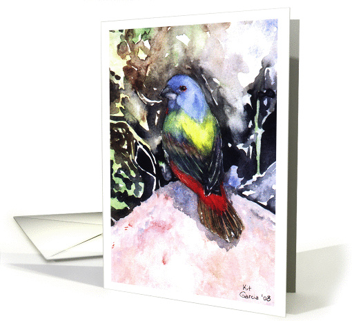 Painted Bunting card (331964)