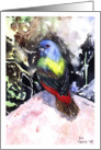 Painted Bunting card