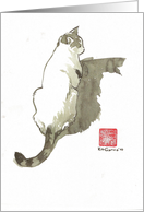 Zen Kitty card