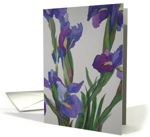 Blue Iris card (332629)