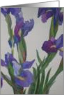 Blue Iris card