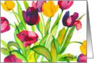 Tulips card