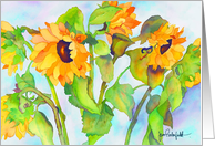 Sunny Sunflowers card