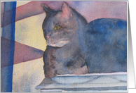 Shadow Cat card