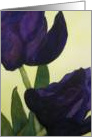 Purple Tulips card