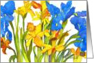 Daffodil & Iris card