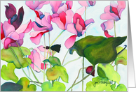 Cyclamen card