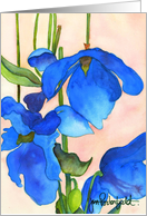 Valentine Poppies card