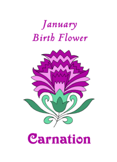 carnation january...