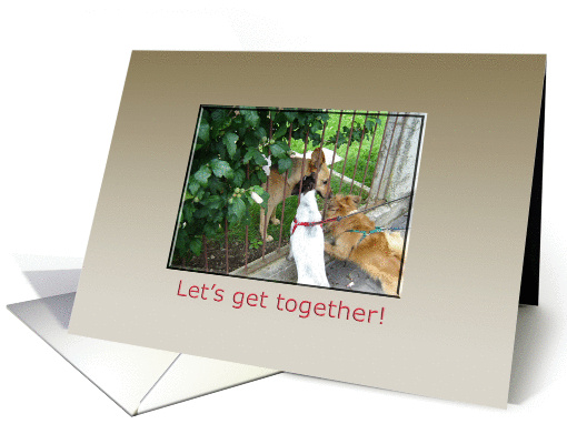 let's get together card (497745)