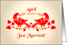 april wedding, birds in love, just married card