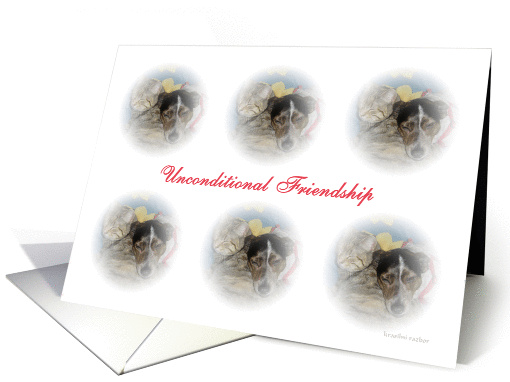 unconditional friendship card (532632)