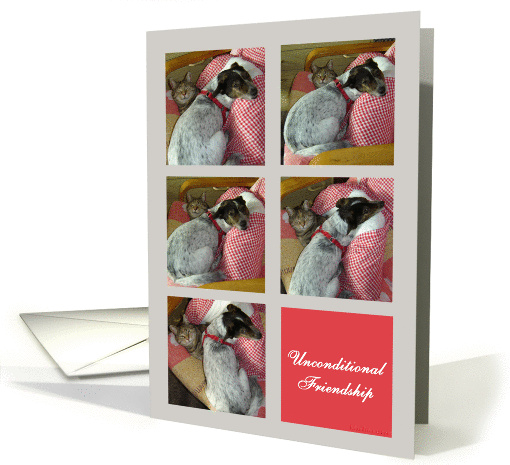 unconditional friendship card (532650)