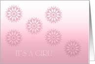 it's a girl,...