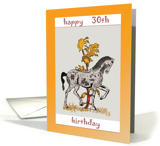 30th birthday card (356191)