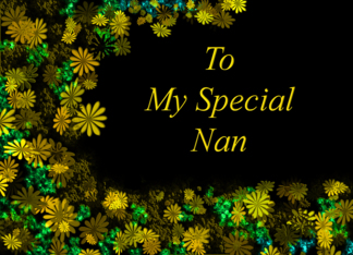 To My Special Nan...