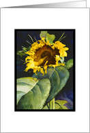 Sunflower card