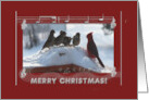 Merry Christmas, Cardinal Singing with the Sparrows card