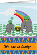 Elephants, Pot of Gold, Rainbow St. Patrick’s Day, Custom Text card