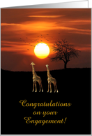 Giraffe Engagement...