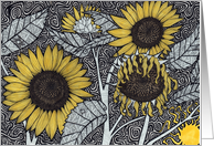 The Fading Summer Sun card