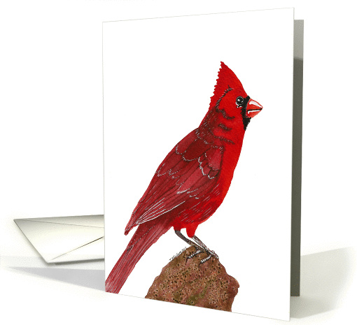 Cardinal card (982693)
