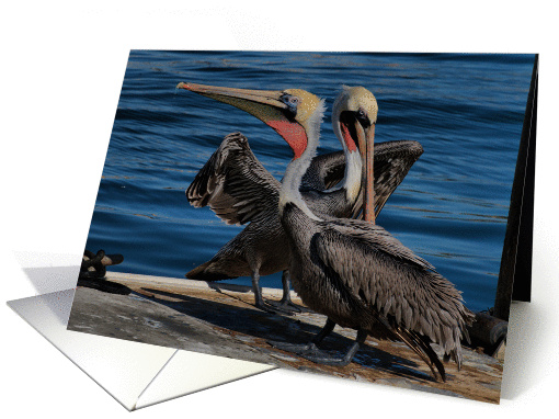 I Love You card (348308)
