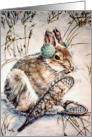 Snow Shoe Hare card