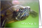 Missing U ~ Turtle card