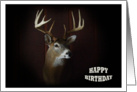 Happy Birthday ~ Deer Collect card