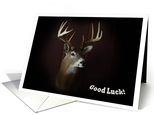 Good Luck ~ Deer Collect card (725538)