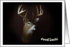 Good Luck ~ Deer Collect card