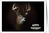 Happy Birthday ~ Deer Collect card