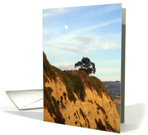 Moonlit Bluff photo by Valerie May Cuan card (357273)