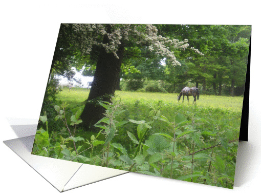 That green and pleasant land card (357300)