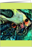 Angelfish Blank Art Card
