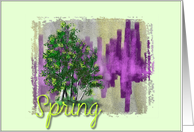 Spring card