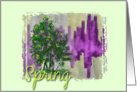 Spring card