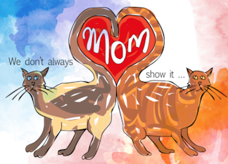 To Mom From The Cats...